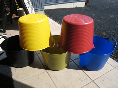 TUBTRUGS 日本限定カラー