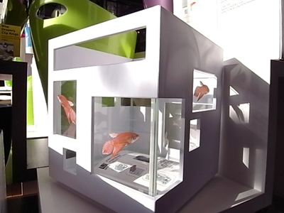 FISH CONDOMINIUM