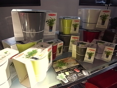 Hydro Herbs